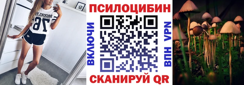 купить Новочеркасск Галлюциногенные грибы прущие грибы